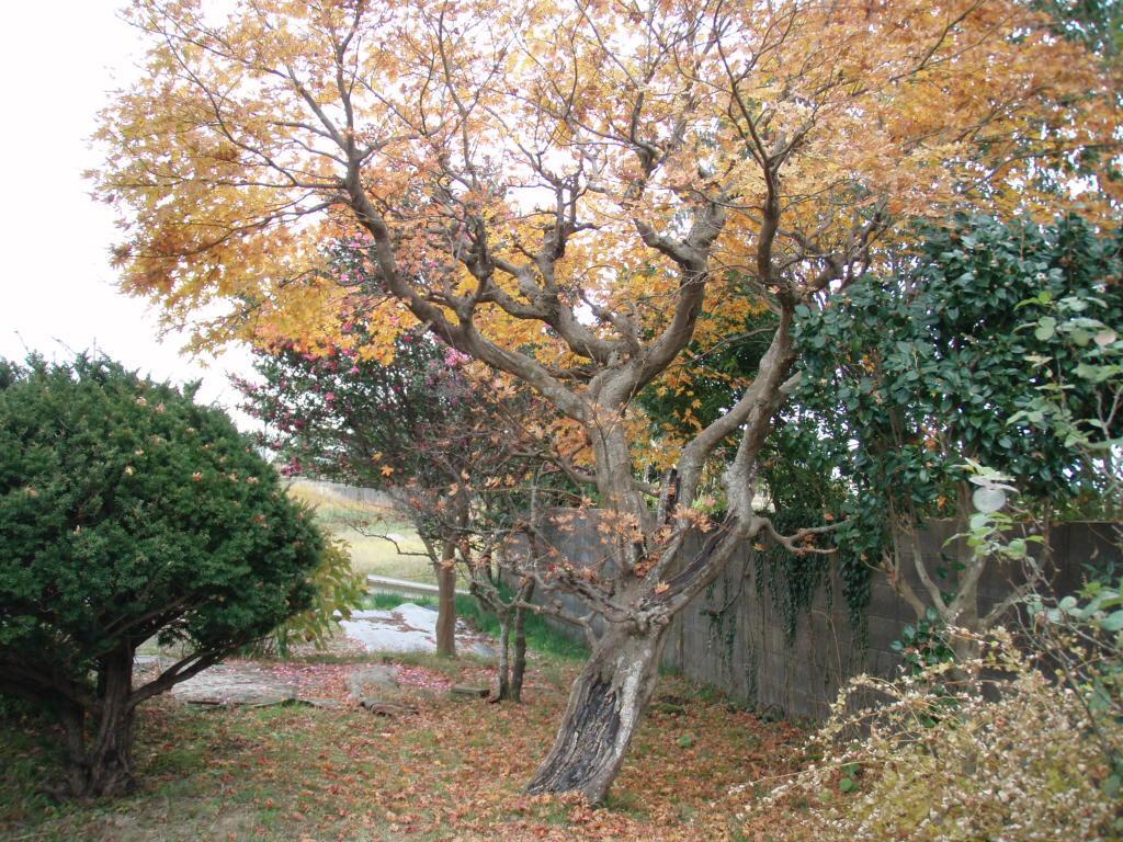 Guesthouse Hokkai Nanao Buitenkant foto