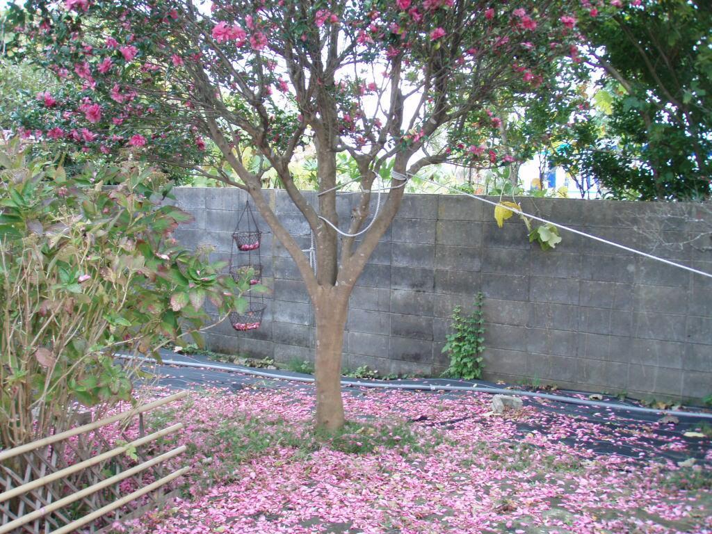 Guesthouse Hokkai Nanao Buitenkant foto